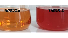 告别浑浊出汁率低！纤维素酶赋能山楂果汁生产