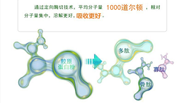 木瓜蛋白酶及碱性蛋白酶，哪一款适合骨胶原蛋白肽的生产